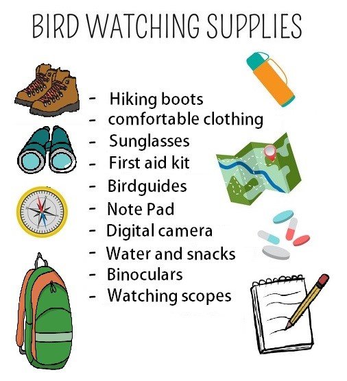 Bird watching supplies