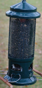 Squirrel Buster Standard edition bird feeder